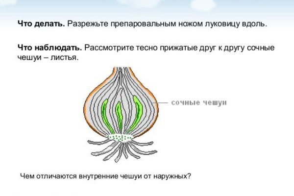 Кракен новый маркетплейс