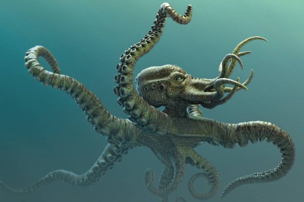 Kraken12 at сайт