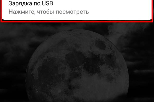 Восстановить доступ к кракену