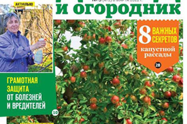 Кракен маркетплейс откуда взялся