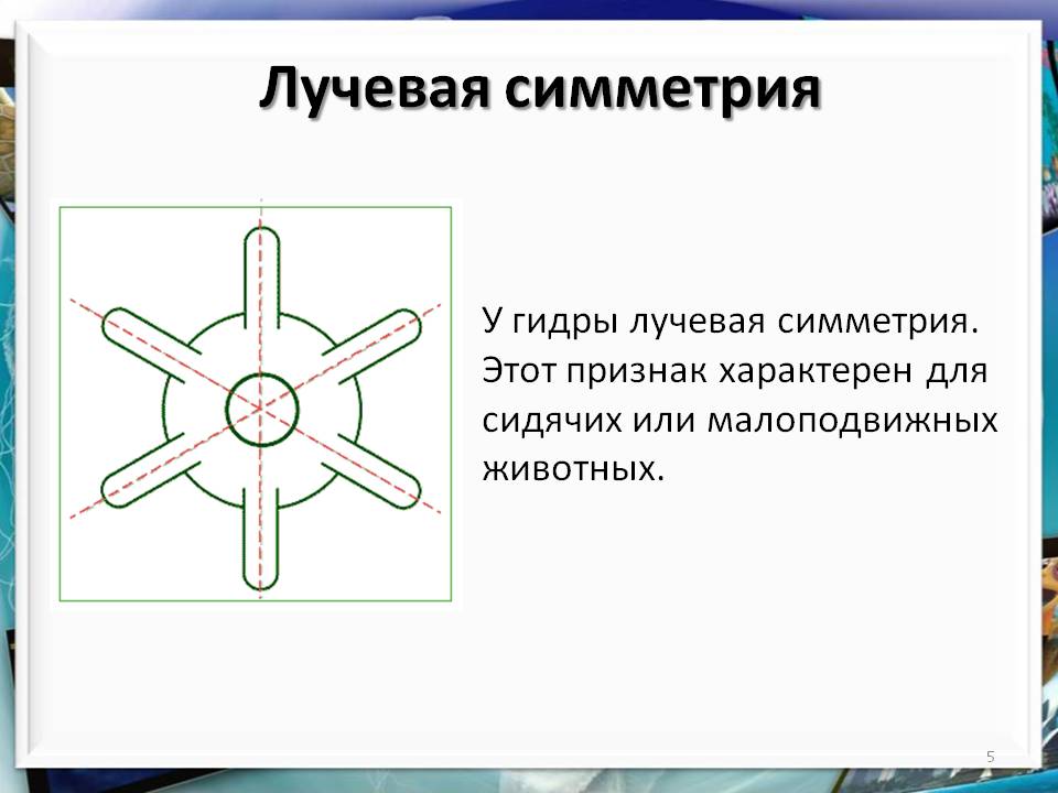 Кракен сайт ссылки актуальные