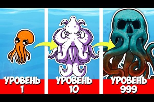 Kraken 24 at