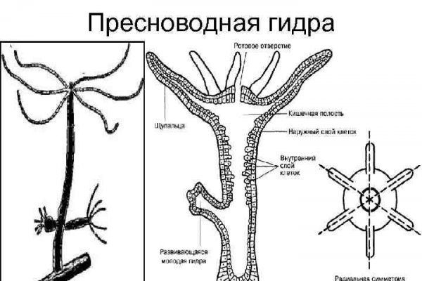 Кракен сайт вход официальный зеркало