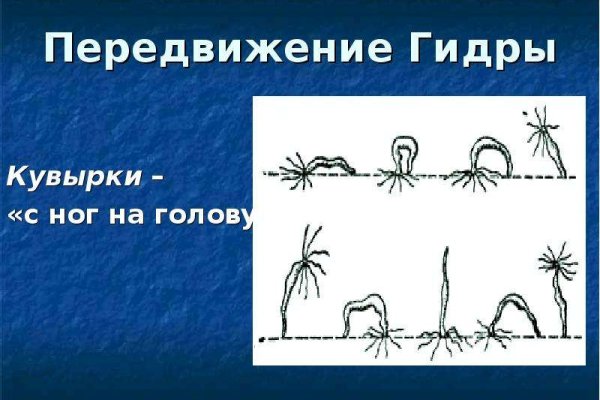 Что за кракен маркет