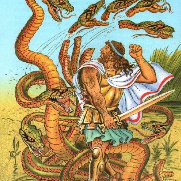 Kraken russia
