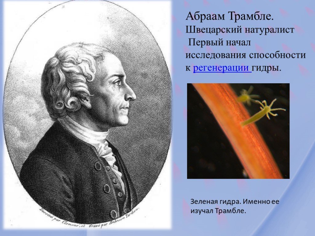 Кракен через браузер